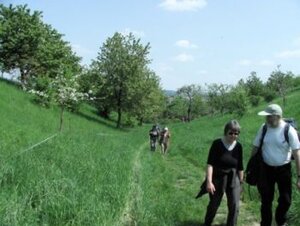 100509 Gemeindewanderung 3