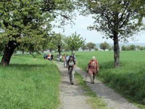 100509 Gemeindewanderung 6