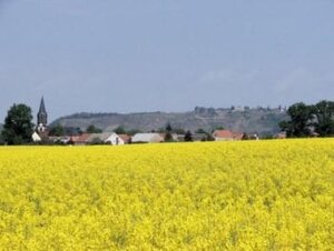 100509 Gemeindewanderung 8