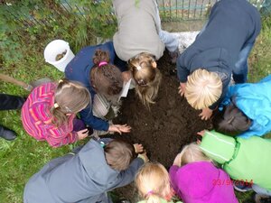 2014-kartoffelprojekt2